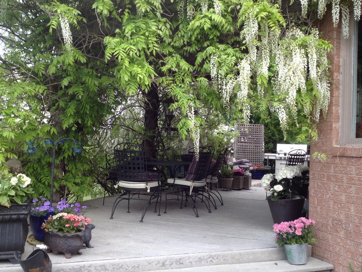 Lulu'S Bed & Breakfast Niagara-on-the-Lake Zewnętrze zdjęcie
